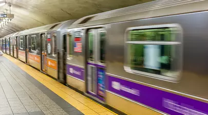 O femeie a fost surprinsă la metrou cu… o vulpe pe umăr