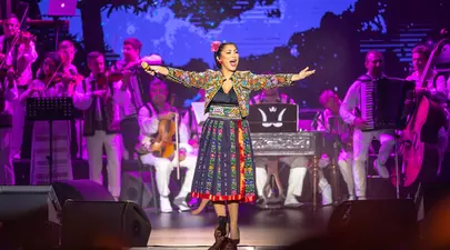 Andra a fost aspru criticată de o artistă din România: „O mare obrăznicie și o lipsă totală de respect”