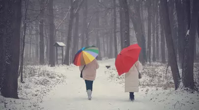 Zodiacul Chinezesc. Ce zodie chinezească ești în funcție de anul nașterii