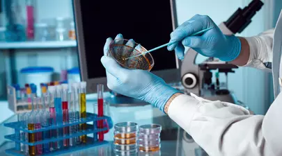 Zodiacul Chinezesc. Ce zodie chinezească ești în funcție de anul nașterii