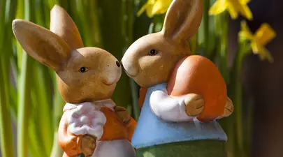 Zodiacul Chinezesc. Ce zodie chinezească ești în funcție de anul nașterii