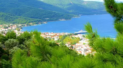 Zodiacul Chinezesc. Ce zodie chinezească ești în funcție de anul nașterii