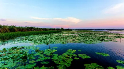 Zodiacul Chinezesc. Ce zodie chinezească ești în funcție de anul nașterii