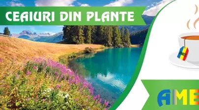 Zodiacul Chinezesc. Ce zodie chinezească ești în funcție de anul nașterii