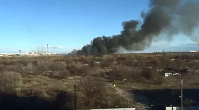 Zodiacul Chinezesc. Ce zodie chinezească ești în funcție de anul nașterii