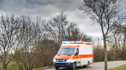 Zodiacul Chinezesc. Ce zodie chinezească ești în funcție de anul nașterii