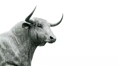 Zodiacul Chinezesc. Ce zodie chinezească ești în funcție de anul nașterii