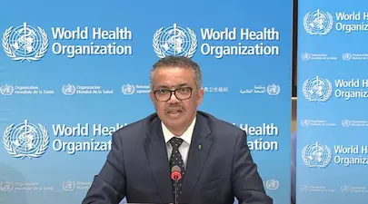 Zodiacul Chinezesc. Ce zodie chinezească ești în funcție de anul nașterii