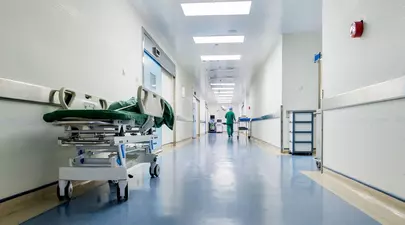 Zodiacul Chinezesc. Ce zodie chinezească ești în funcție de anul nașterii