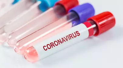 Zodiacul Chinezesc. Ce zodie chinezească ești în funcție de anul nașterii