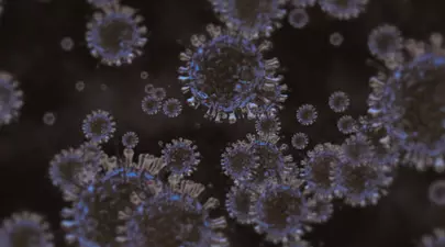 Zodiacul Chinezesc. Ce zodie chinezească ești în funcție de anul nașterii