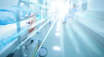 Zodiacul Chinezesc. Ce zodie chinezească ești în funcție de anul nașterii
