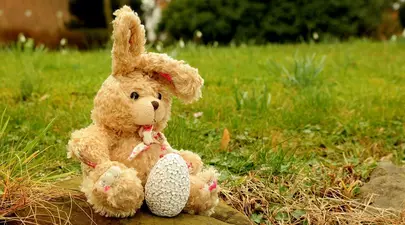 Zodiacul Chinezesc. Ce zodie chinezească ești în funcție de anul nașterii