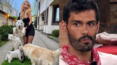 Zodiacul Chinezesc. Ce zodie chinezească ești în funcție de anul nașterii