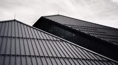 Zodiacul Chinezesc. Ce zodie chinezească ești în funcție de anul nașterii