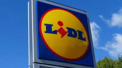 Lidl retrage de la raft produse infectate cu Salmonella