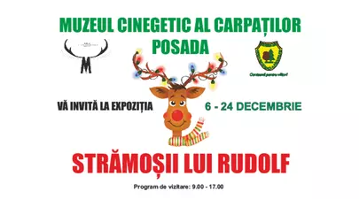 Zodiacul Chinezesc. Ce zodie chinezească ești în funcție de anul nașterii