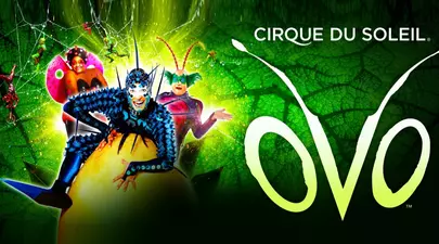 Zodiacul Chinezesc. Ce zodie chinezească ești în funcție de anul nașterii