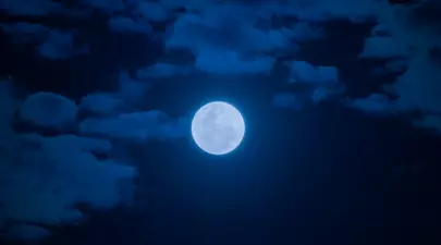 Zodiacul Chinezesc. Ce zodie chinezească ești în funcție de anul nașterii