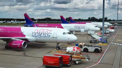 Zodiacul Chinezesc. Ce zodie chinezească ești în funcție de anul nașterii