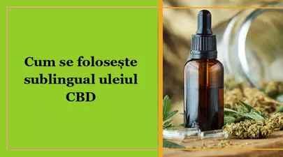 Zodiacul Chinezesc. Ce zodie chinezească ești în funcție de anul nașterii