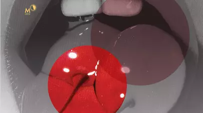 Zodiacul Chinezesc. Ce zodie chinezească ești în funcție de anul nașterii