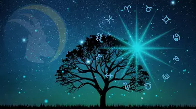 Zodiacul Chinezesc. Ce zodie chinezească ești în funcție de anul nașterii