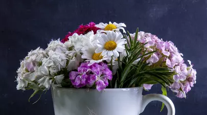 Zodiacul Chinezesc. Ce zodie chinezească ești în funcție de anul nașterii