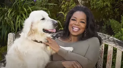 Cum arată senzaționalul conac cu lift și heliport al celebrei Oprah Winfrey. Vedeta e vecină cu Prințul Harry și Meghan Markle