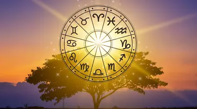 Zodiacul Chinezesc. Ce zodie chinezească ești în funcție de anul nașterii