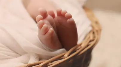 Zodiacul Chinezesc. Ce zodie chinezească ești în funcție de anul nașterii