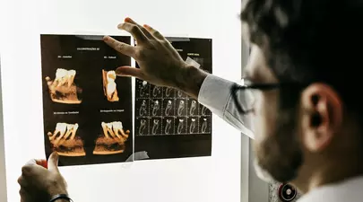 Zodiacul Chinezesc. Ce zodie chinezească ești în funcție de anul nașterii