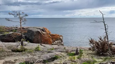 Zodiacul Chinezesc. Ce zodie chinezească ești în funcție de anul nașterii