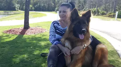 Zodiacul Chinezesc. Ce zodie chinezească ești în funcție de anul nașterii