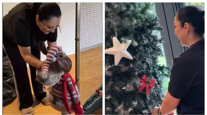 Zodiacul Chinezesc. Ce zodie chinezească ești în funcție de anul nașterii