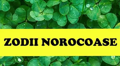 Zodiacul Chinezesc. Ce zodie chinezească ești în funcție de anul nașterii