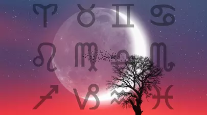 Zodiacul Chinezesc. Ce zodie chinezească ești în funcție de anul nașterii