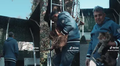 Marcel Ciolacu, într-un hanorac de aproape 4.000 de euro pe TikTok. S-a filmat salvându-și pisica din copac: „A fugit” / Video