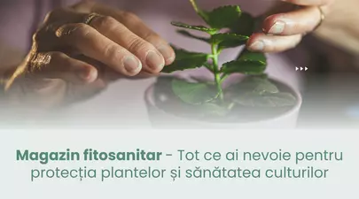 Zodiacul Chinezesc. Ce zodie chinezească ești în funcție de anul nașterii