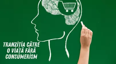Zodiacul Chinezesc. Ce zodie chinezească ești în funcție de anul nașterii