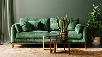 Cum să creezi un colț verde în apartamentul tău: 7 idei