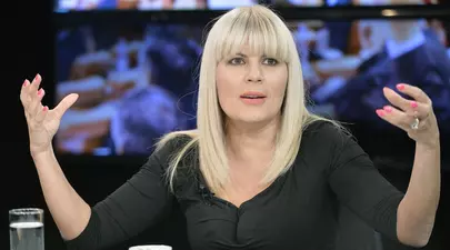 Terenurile Elenei Udrea, scoase la licitație. DNA și ANAF încearcă recuperarea prejudiciului