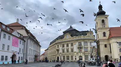 Zodiacul Chinezesc. Ce zodie chinezească ești în funcție de anul nașterii