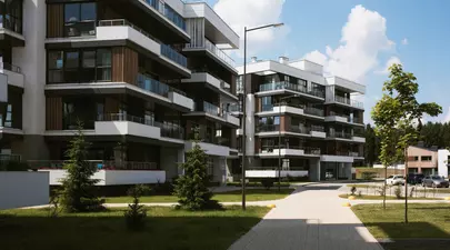 Zodiacul Chinezesc. Ce zodie chinezească ești în funcție de anul nașterii