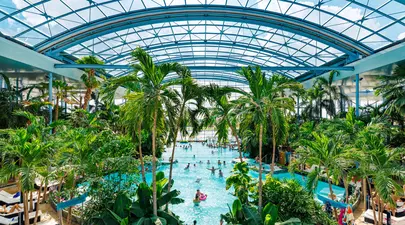 Zodiacul Chinezesc. Ce zodie chinezească ești în funcție de anul nașterii