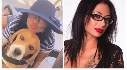 Zodiacul Chinezesc. Ce zodie chinezească ești în funcție de anul nașterii