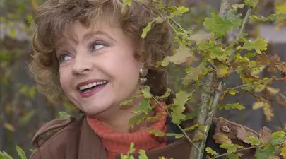 Zodiacul Chinezesc. Ce zodie chinezească ești în funcție de anul nașterii