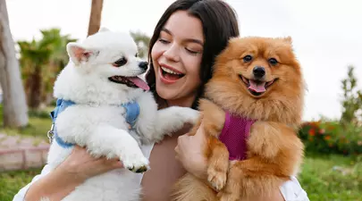 Zodiacul Chinezesc. Ce zodie chinezească ești în funcție de anul nașterii