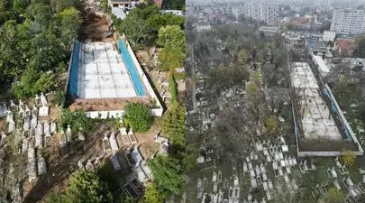 Zodiacul Chinezesc. Ce zodie chinezească ești în funcție de anul nașterii