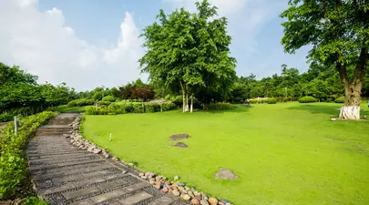 Zodiacul Chinezesc. Ce zodie chinezească ești în funcție de anul nașterii